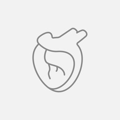 Heart line icon.