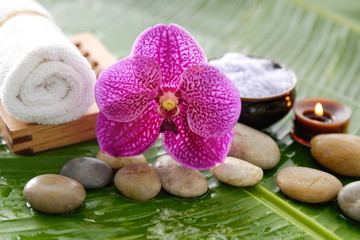 Oriental spa and wellness	