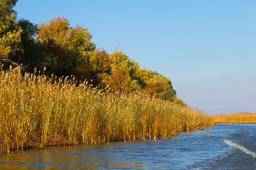 Astrakhan River expanses