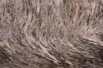 Weathered Old Wood Grain Texture 2