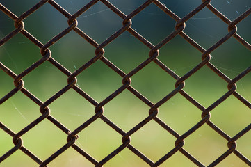 Fototapeta premium wire net background