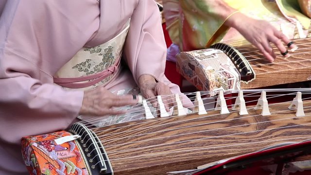 琴の演奏