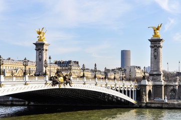 Fototapeta na wymiar Pont Alexandre III and Montparnasse Tower in Paris, France