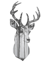 Naklejka premium deer head