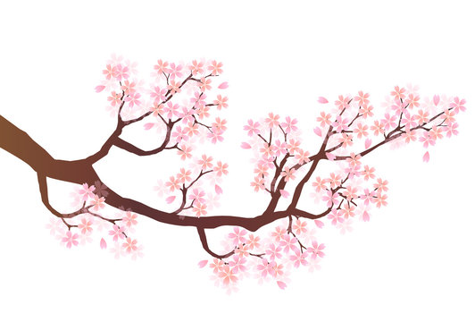 桜　花　ピンク　アイコン