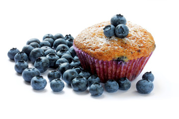 One muffin with blueberry on a white background