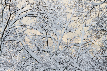 Obraz premium snow-covered town 2 /snow-covered town