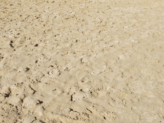 sea sand with footprints