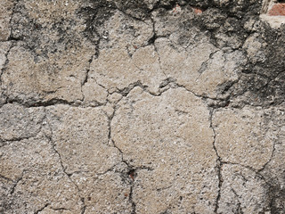 crack on cement texture