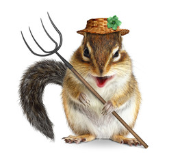 Funny animal farmer, squirrel with pitchfork and hat isolated on
