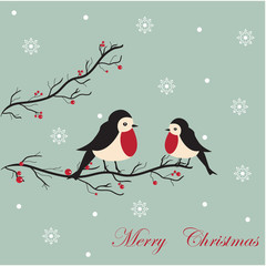 Christmas birds card