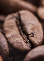 Closeup of coffee beans with focus on one, macro