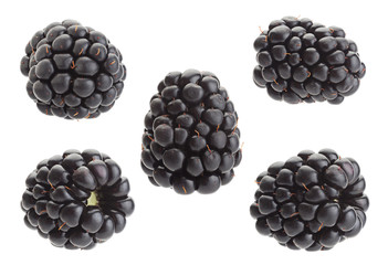Blackberry fruit collection
