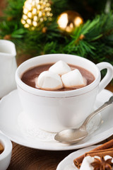 Hot chocolate with marshmallows