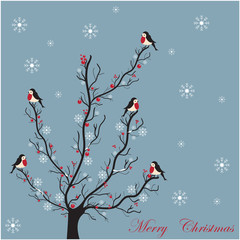 winter tree with birds