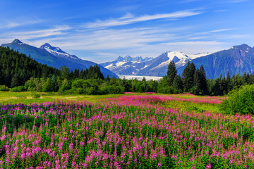 Juneau, Alaska - obrazy, fototapety, plakaty