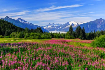 Fotobehang Juneau, Alaska © SCStock