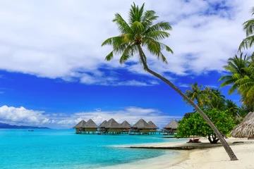 Foto auf Acrylglas Bora Bora, Französisch-Polynesien Bora Bora, Französisch-Polynesien