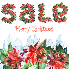 Sale flowers, poinsettia