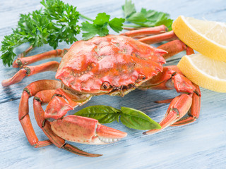 Cooked crab with lemon and herbs.
