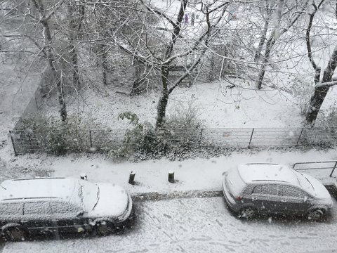 prima neve