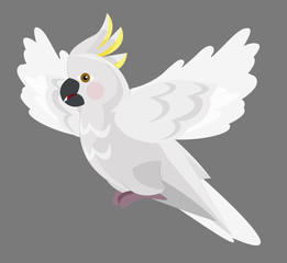 Cartoon parrot - cockatoo - isolated - illustration for the children