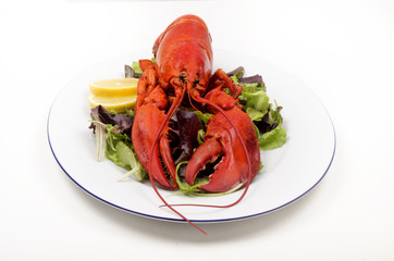 lobster with lemon and salad on a plate