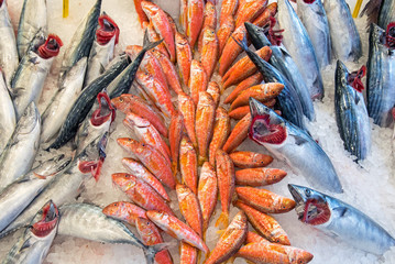 Fresh fish offer at a market in Istanbul