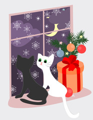 Christmas theme with kittens and the gift near the window.