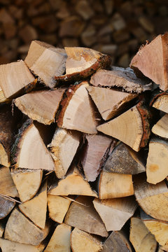 Piles of chopped firewood