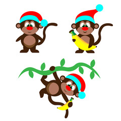 Three new tear monkeys