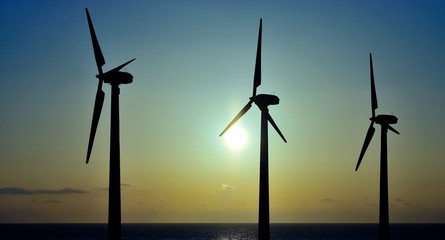 Fototapeta premium Wind park at sunrise