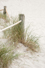 Wooden Post and Grass, Saona Cove Beach, Formentera