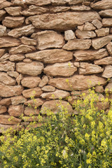 Stone Wall with Yellow Grass in Formentera
