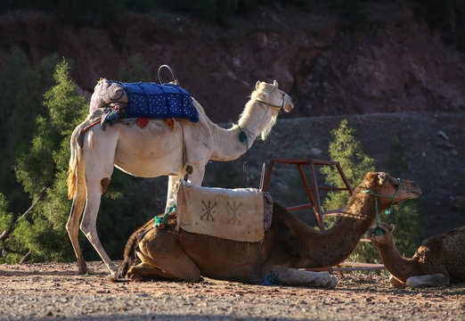 le Maroc