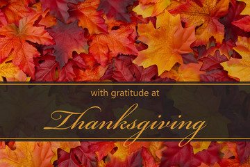 Naklejka na ściany i meble Happy Thanksgiving Greeting