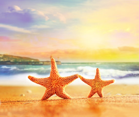 Naklejka na ściany i meble Two starfishes on a summer beach