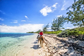 Foto op Plexiglas Mensen rijden te paard op het Caribische strand. Grand Cayman © maylat