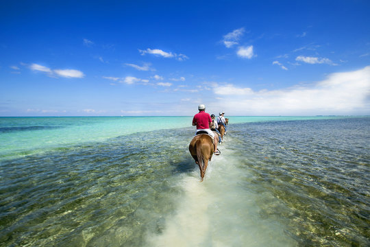 People Riding On Horse Back At The Caribbean Beach. Grand Cayman