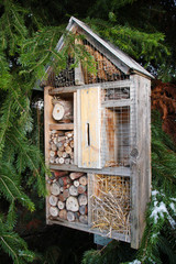 Insektenhotel zwischen Tannenzweigen