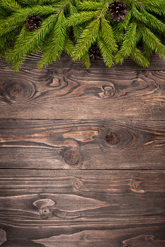 Fir tree on dark wooden background
