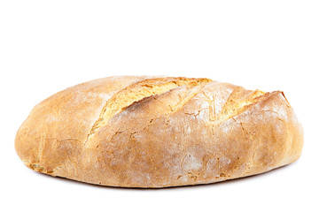 Loaf of bread on white background.
