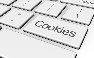 Cookies Computer Key Concept