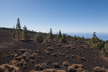 Teide Tenerife Canarian volcano landscapes