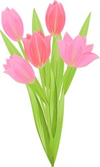 Obraz premium Tulip bouquet 