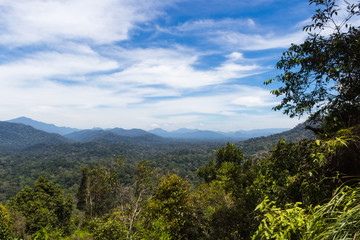 mountains with jungle and cloudy sky