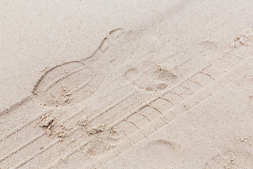Tracks on beach