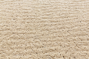 Ghost crab hole on the beach