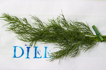 Dillzweig auf weißem Hintergrund mit gestempelten Buchstaben