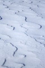 Winter snowy textures